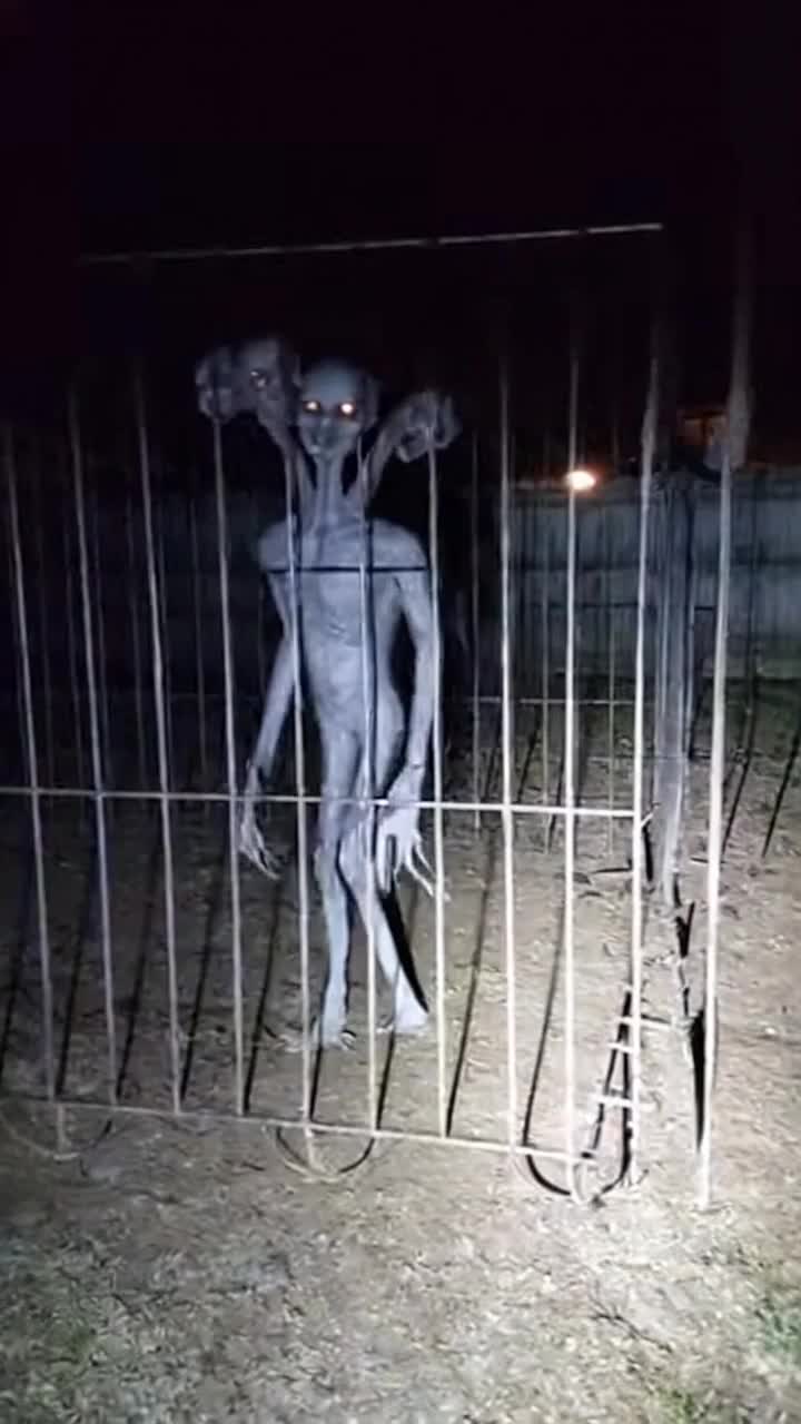 @NightmareCanvas