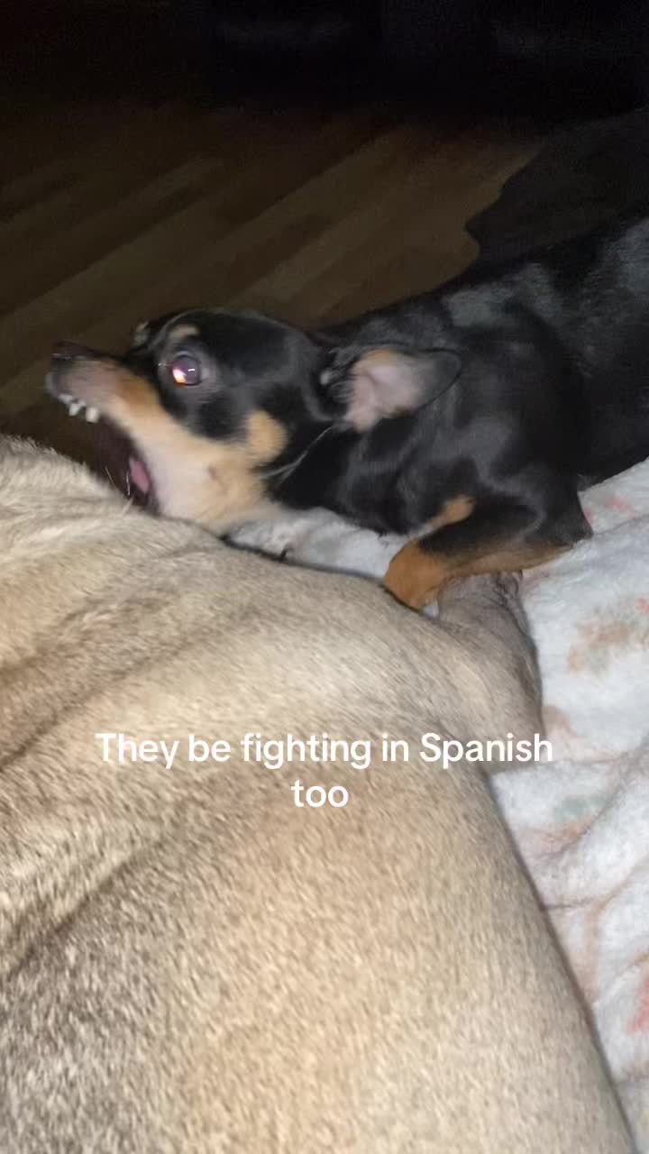 @🅿️atricia
