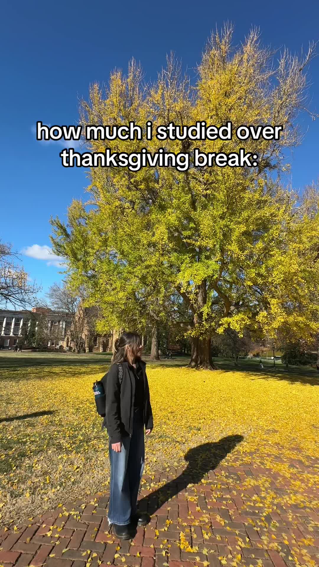 @elena