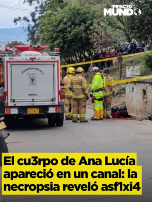 @Impacto Mundo