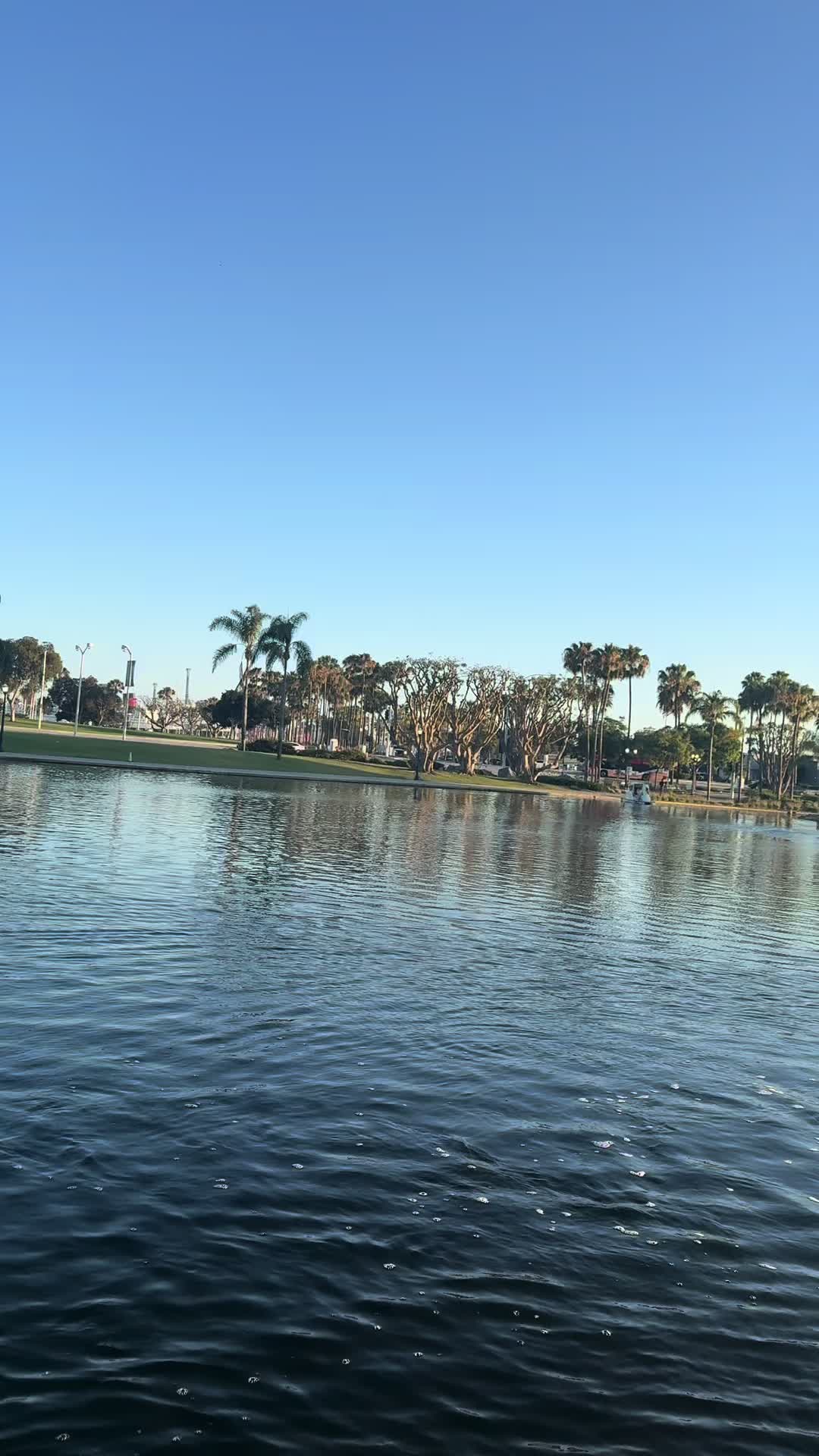 @ꪑﺃꪶꫀꫀ ♡
