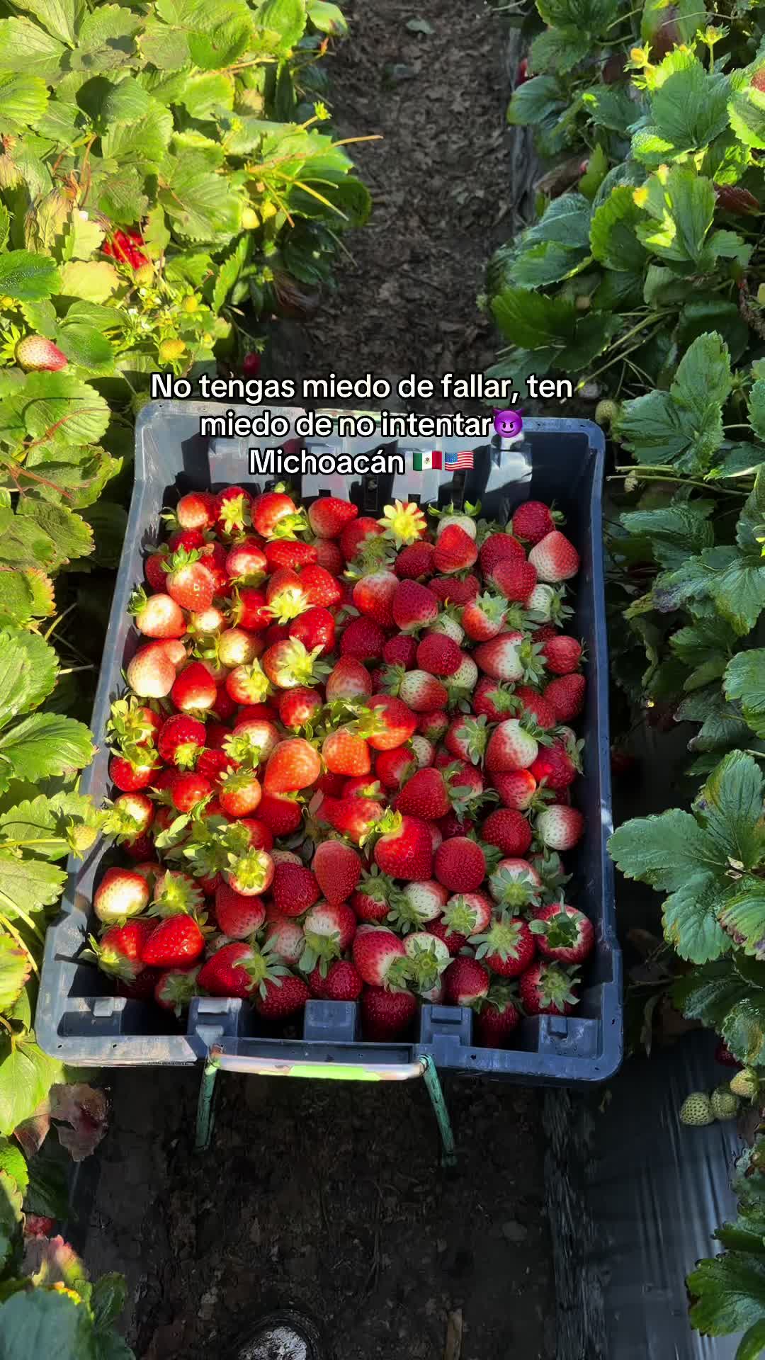 @Mayte Tapia