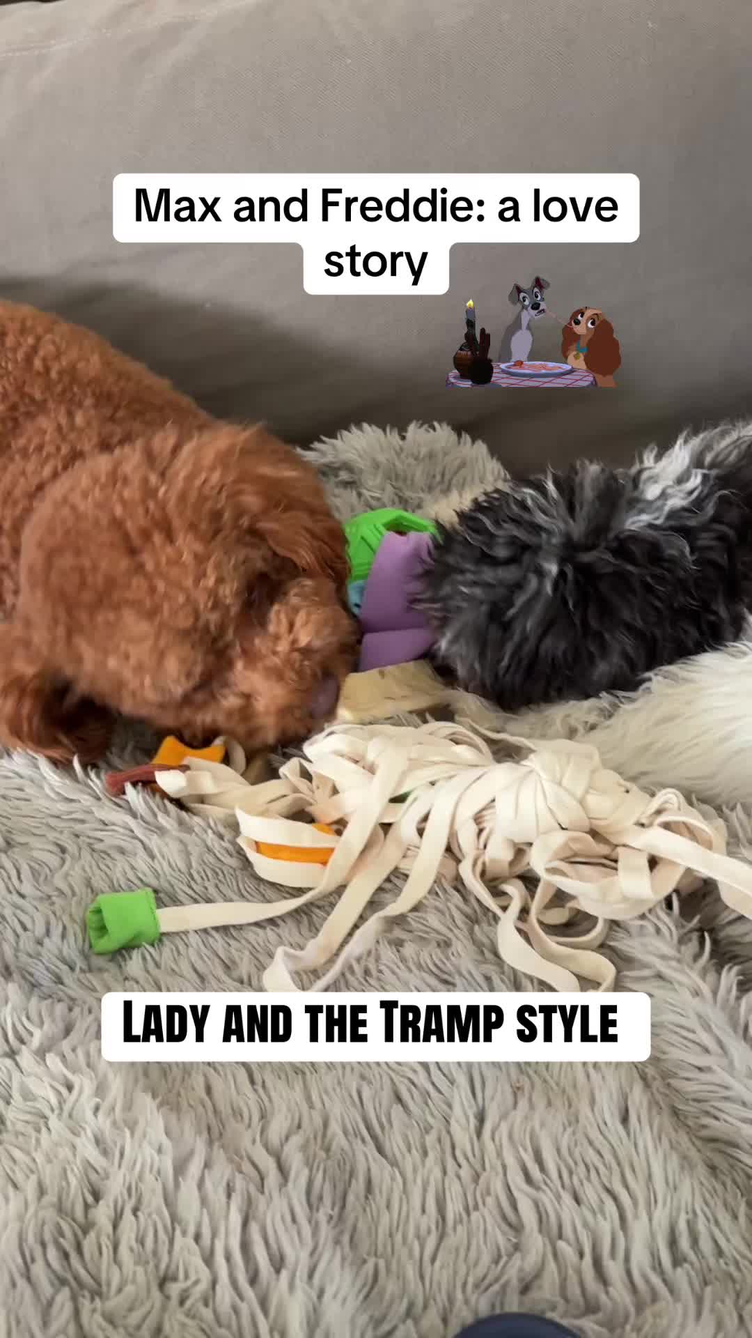 @&ldquo;The Kindness Lady&rdquo;