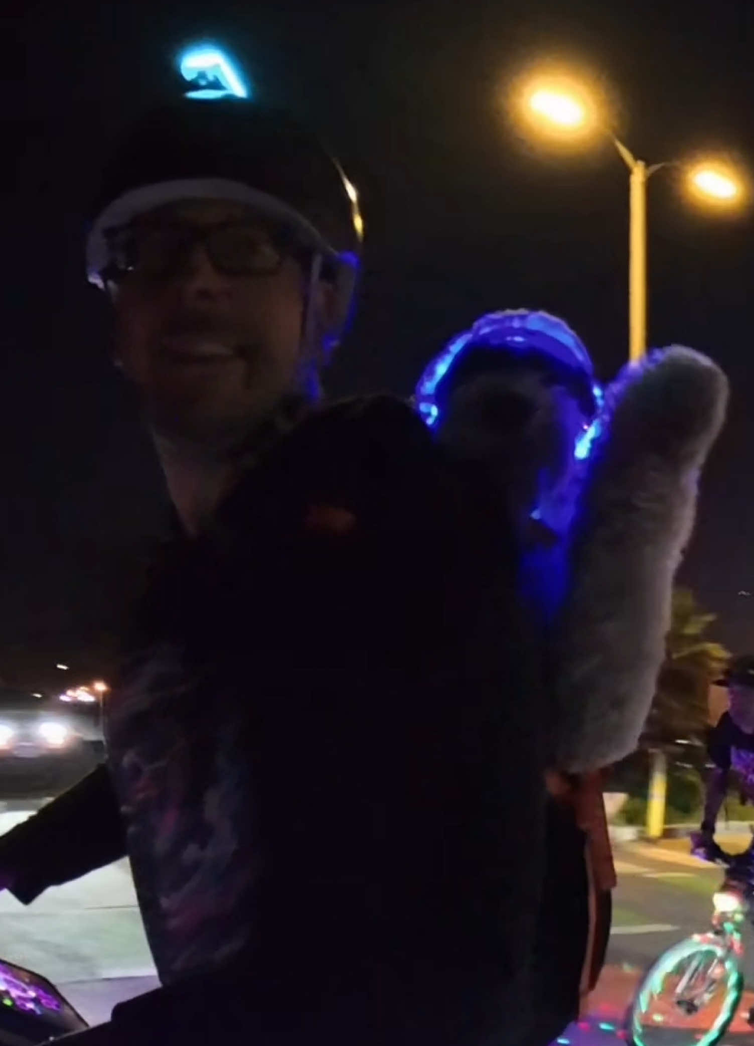 @TheScooterPup