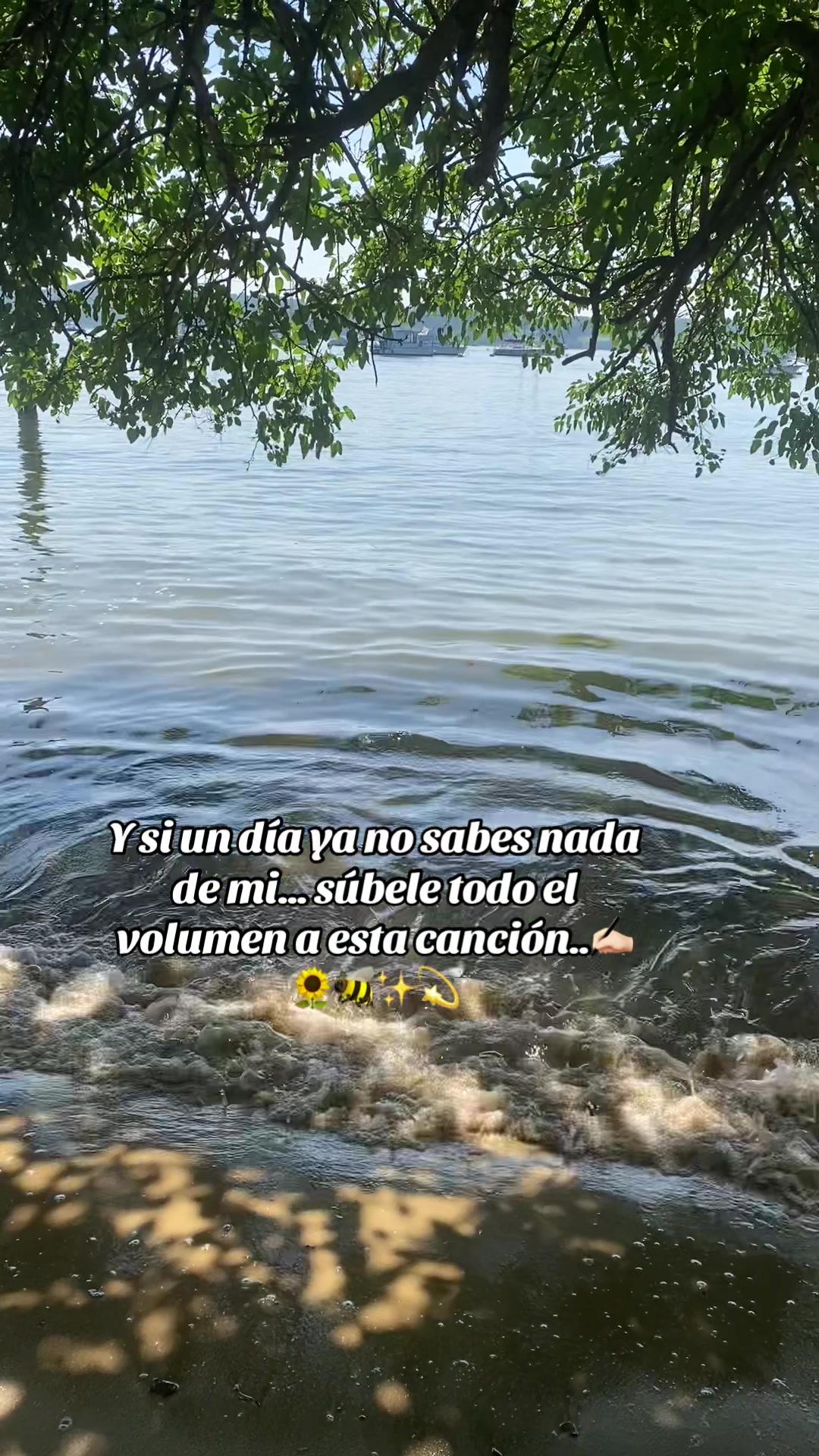 @๐Bonita_Girasol91