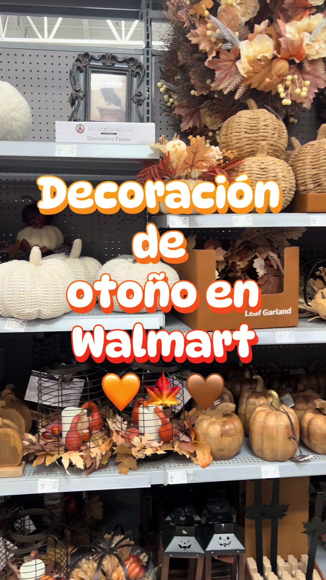@ᒍᗩᗰIᒪETTE