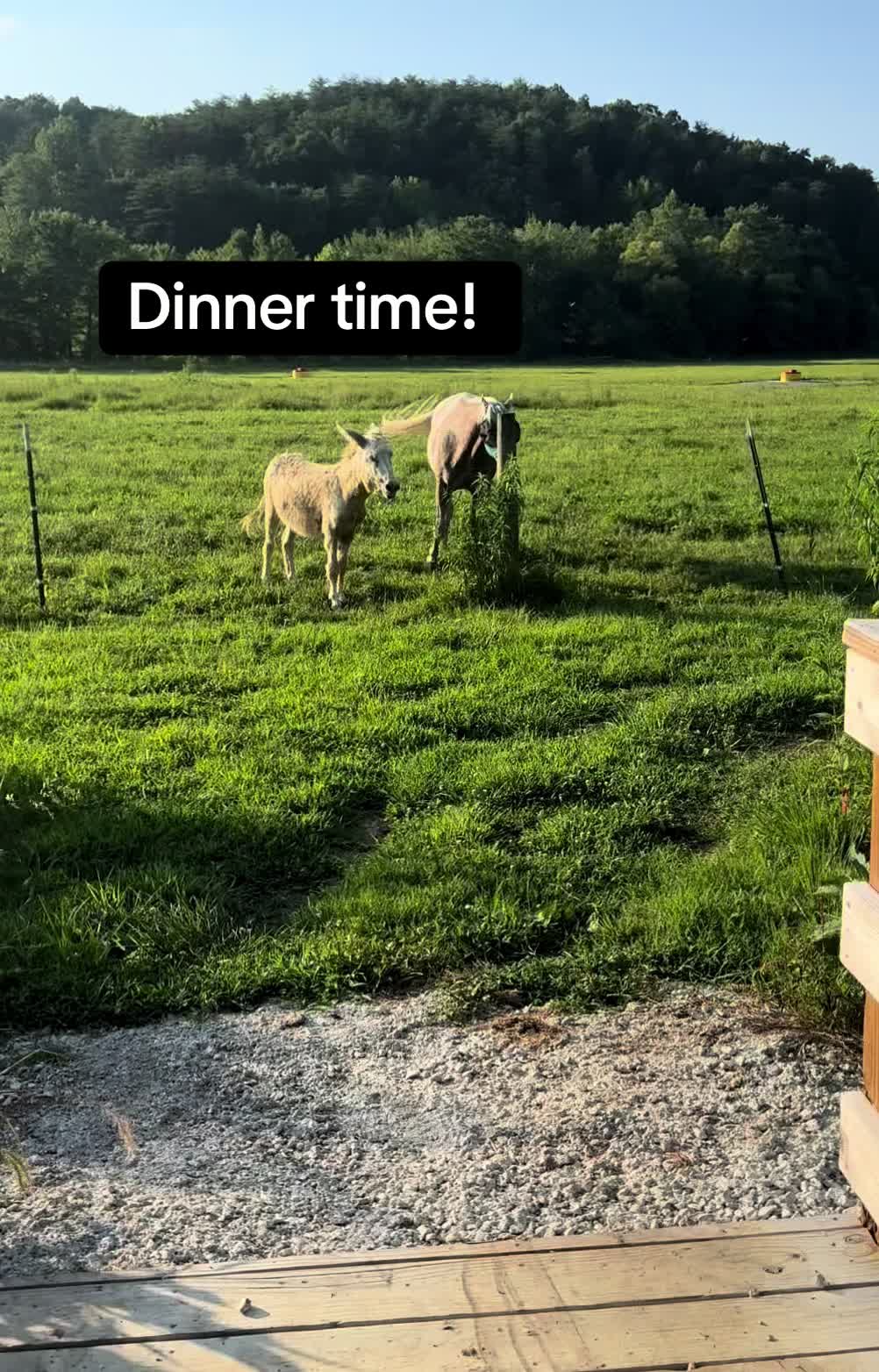 @Sober farmer & nature lover