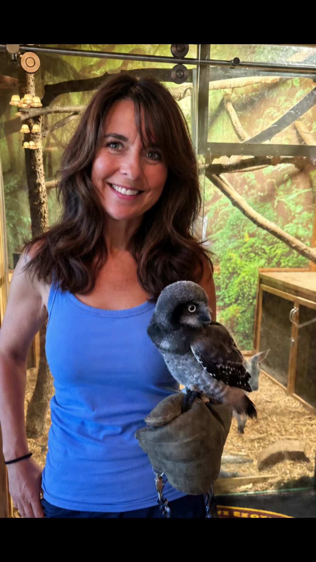 @Tigersafari