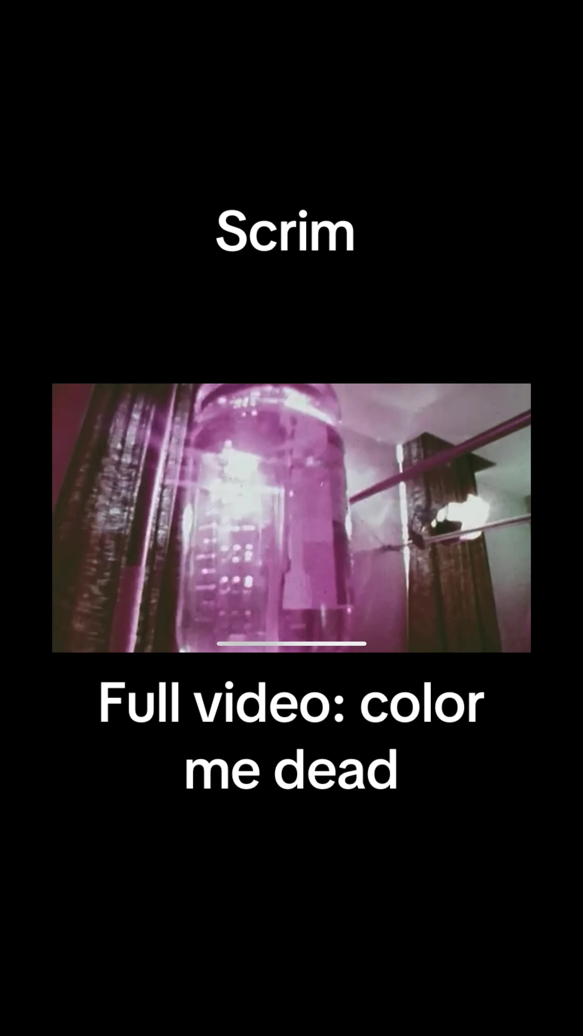@curlyjoejr2376