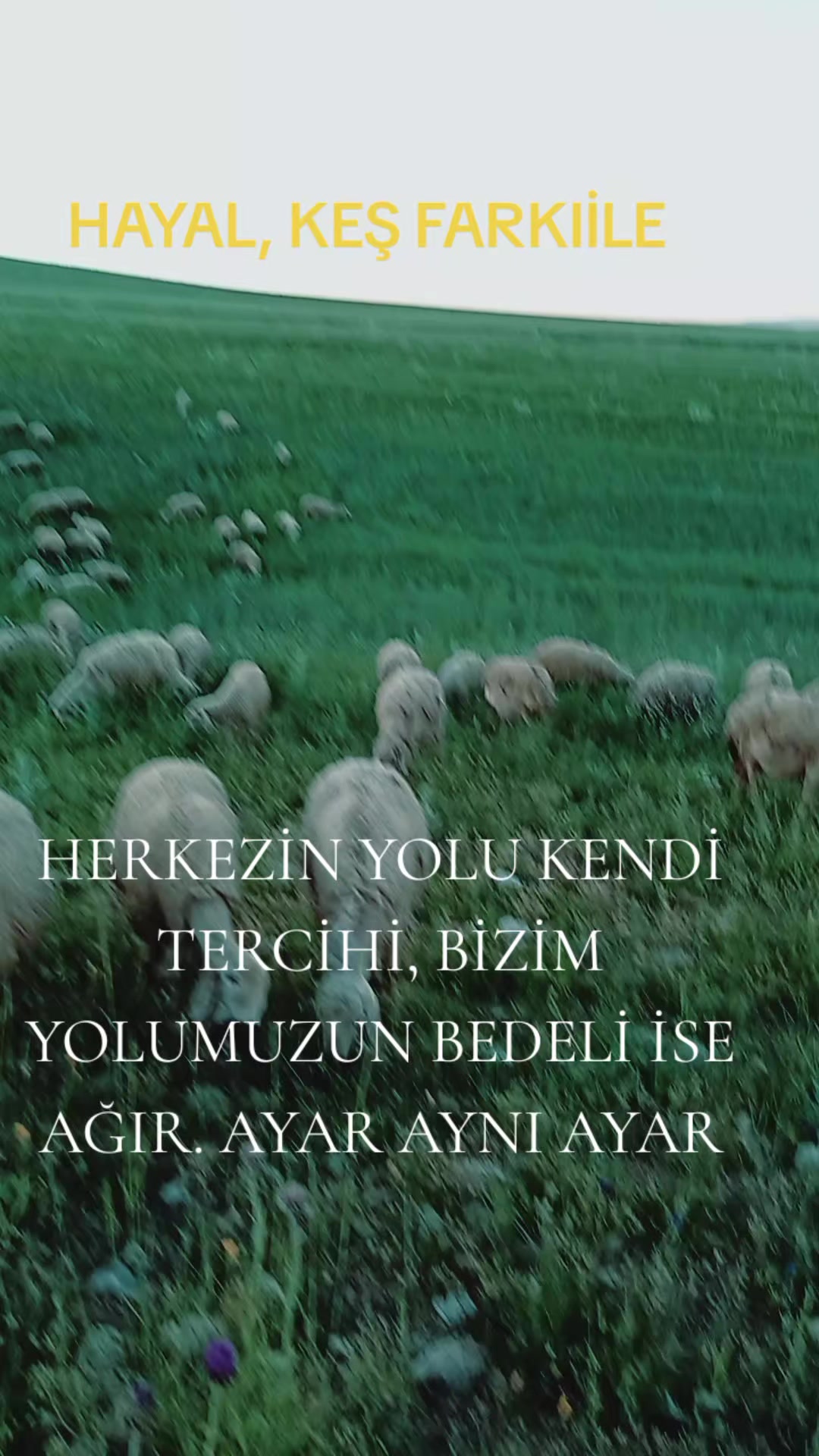 @HAYAL KEŞ