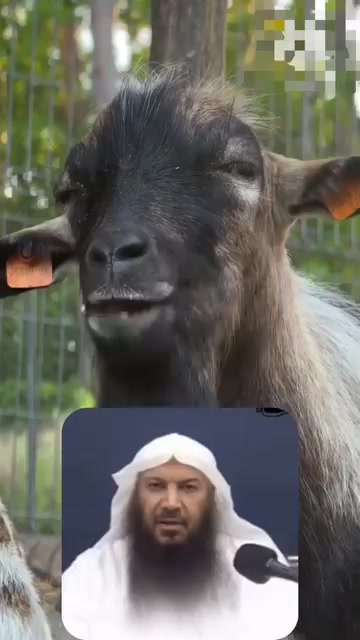@mohammed68