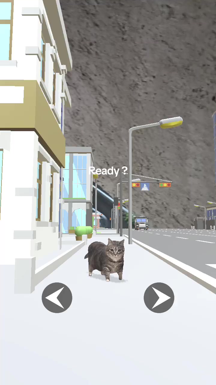 @Pandajadas!