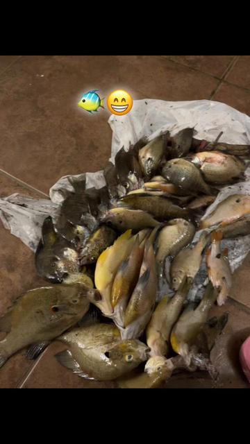 @Madre soltera con 7 hijos 🤫