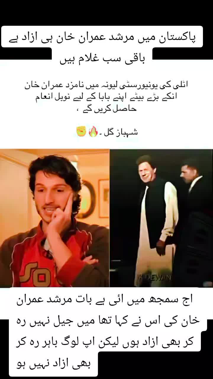 @shafqat Ali 4