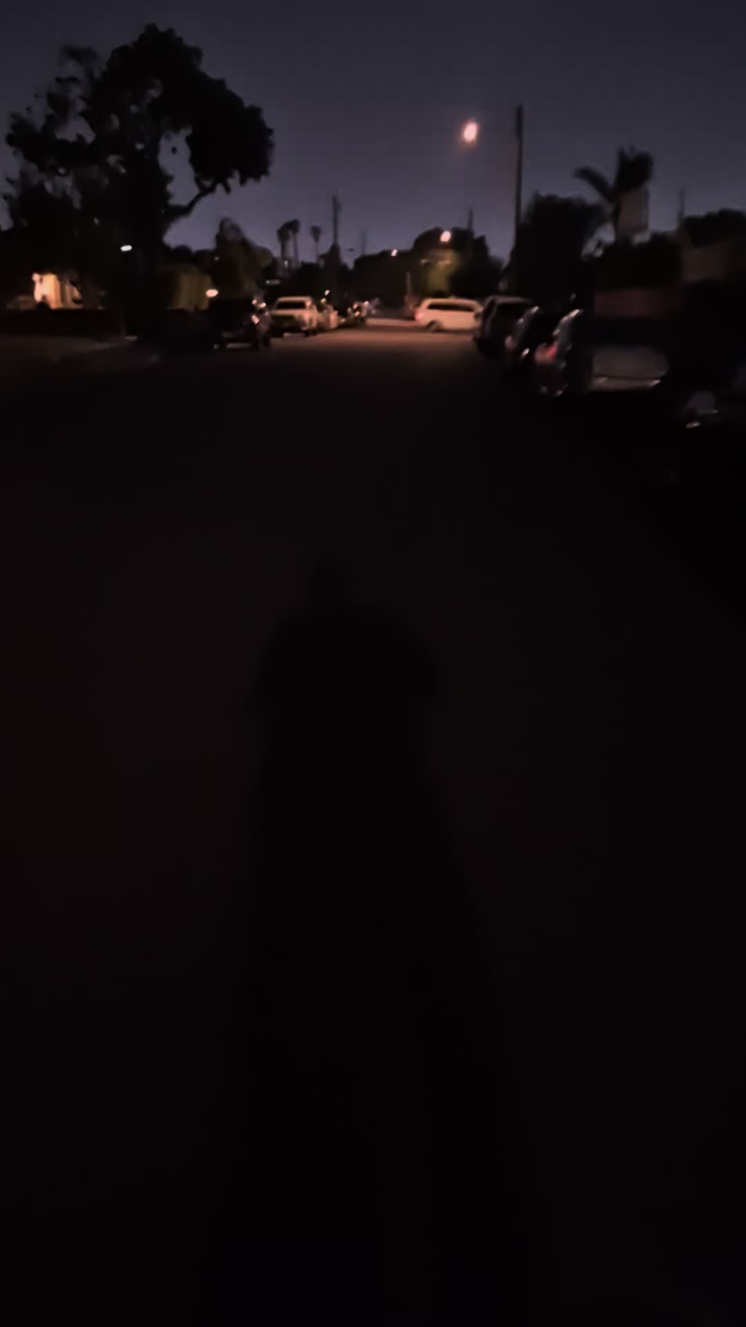 @Alexander✅️