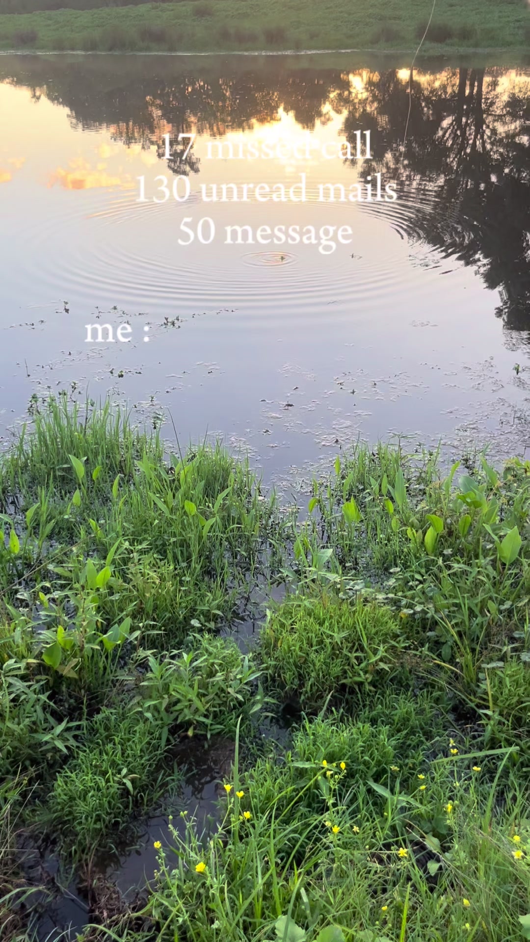 @Cecilia Henderson