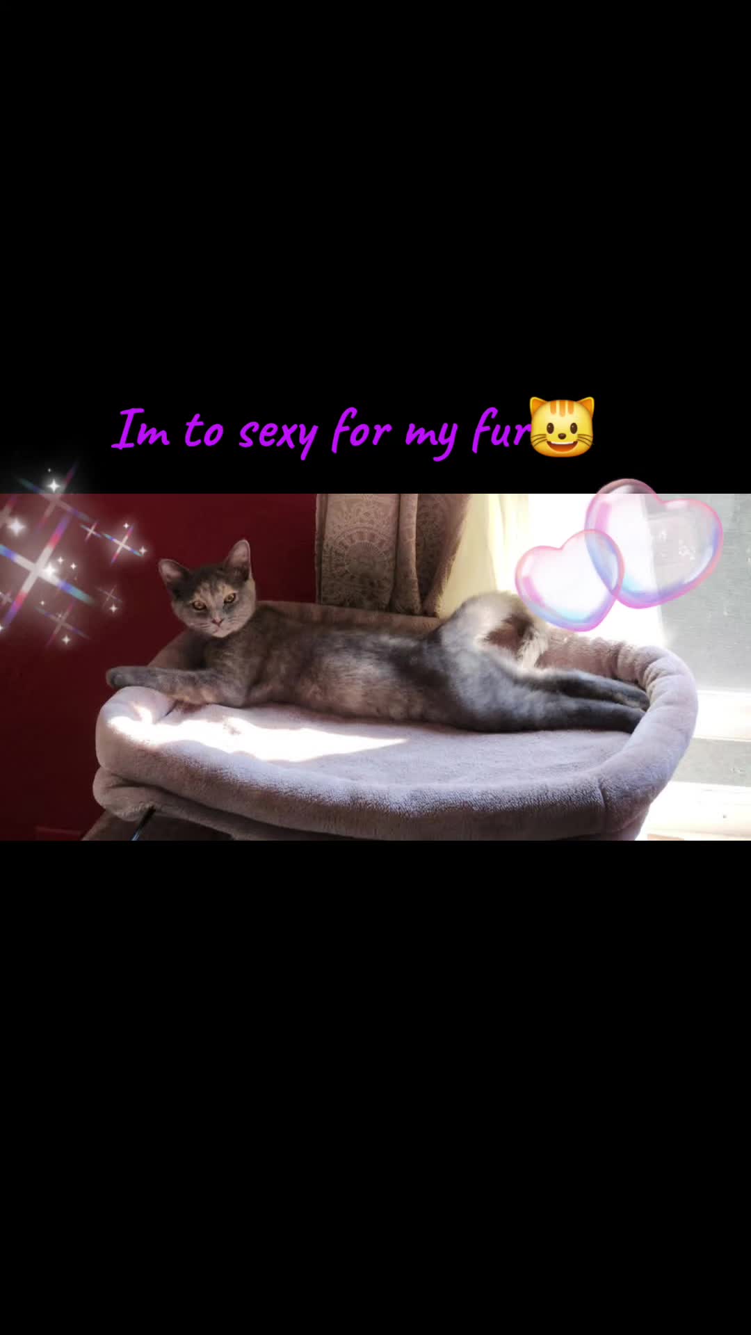 @rosariomendoza6142