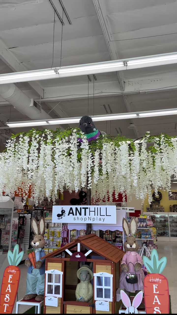 @Anthill shopNplay