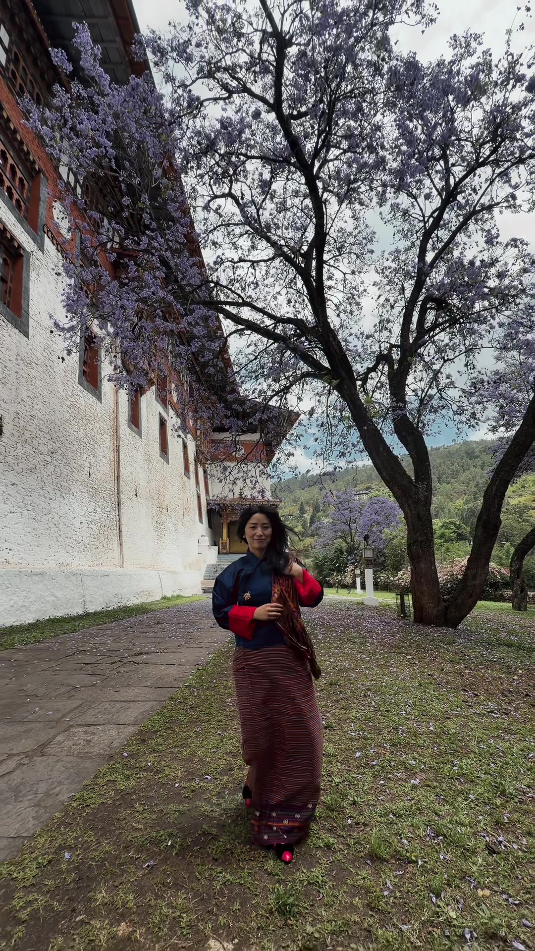 @Wangpe Tashi