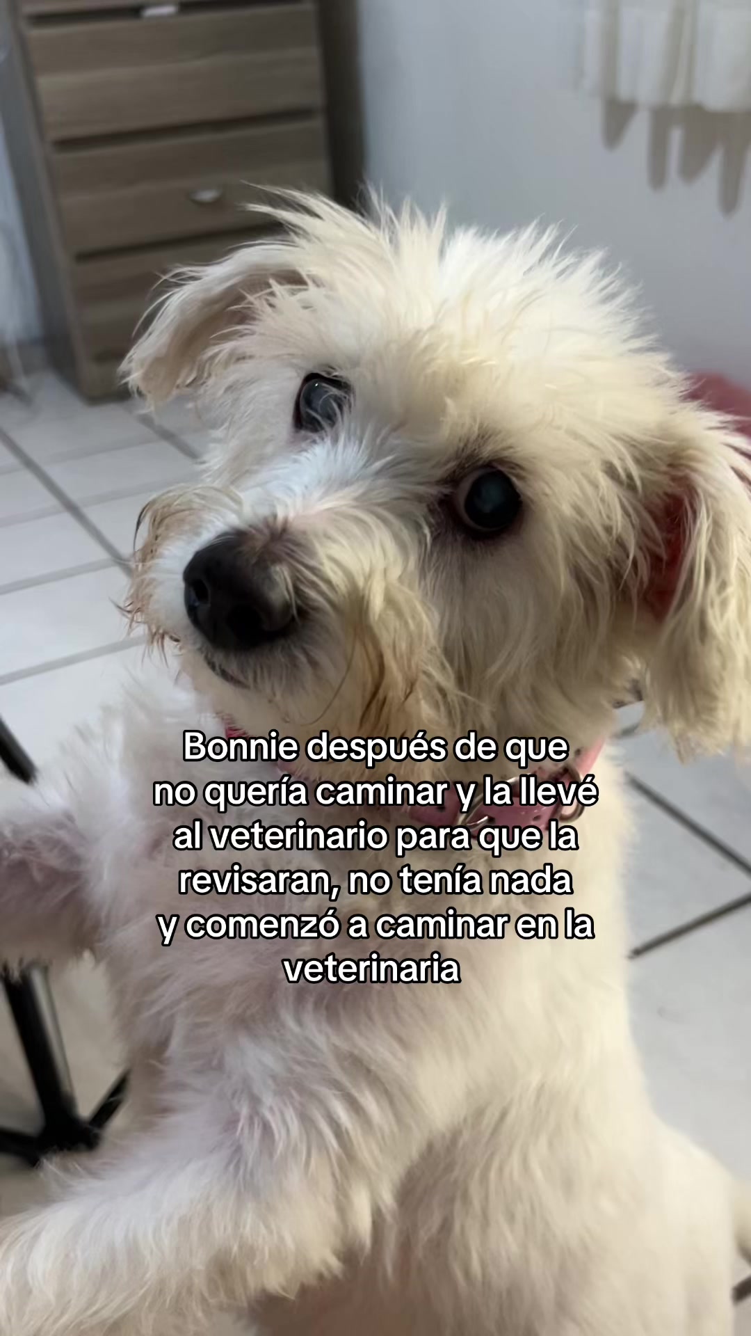@Liz Romero