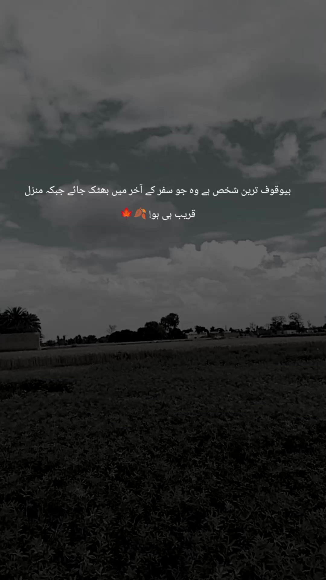 @AWAN ZADI