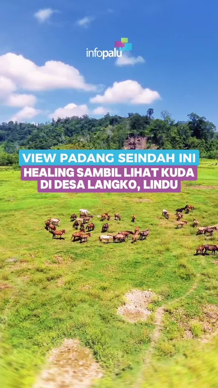 @Info Palu