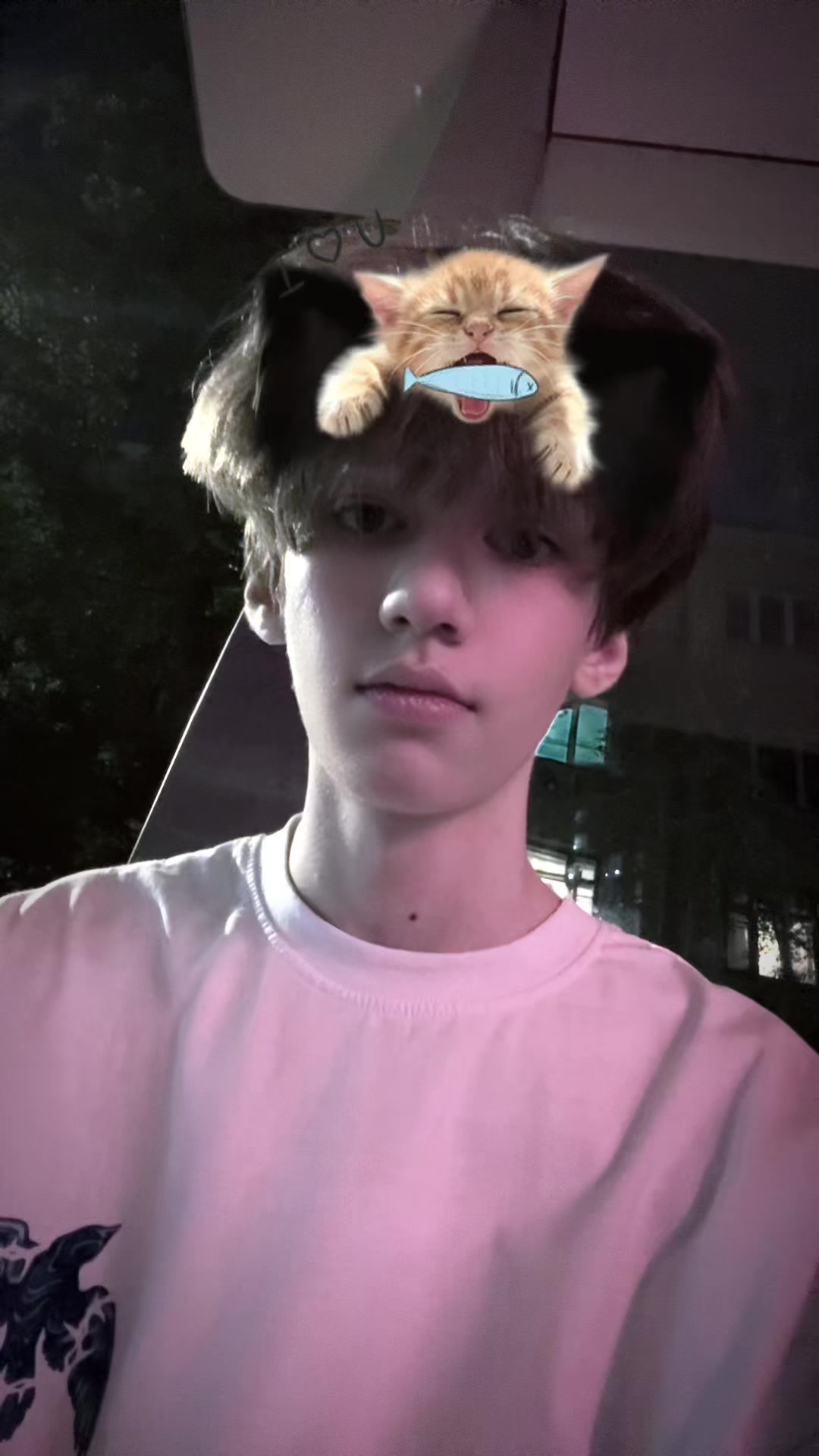@Noisy🇪🇺