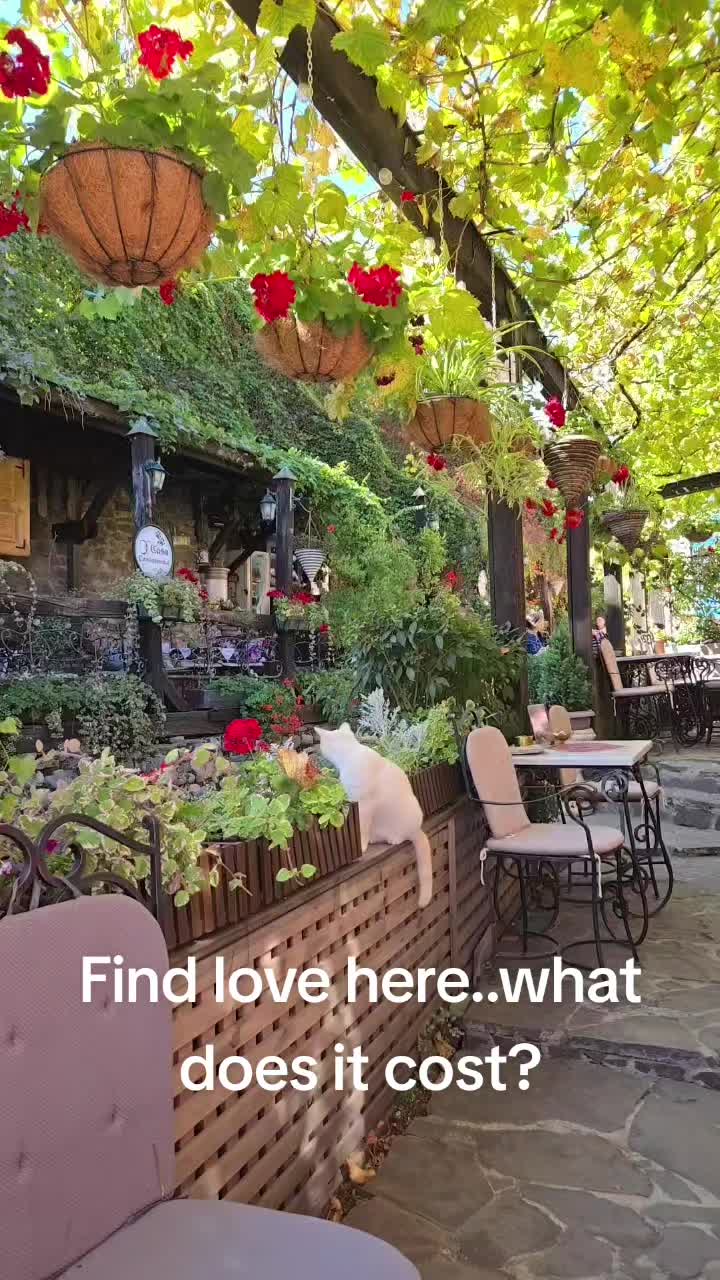 @Tifftravelstheworld