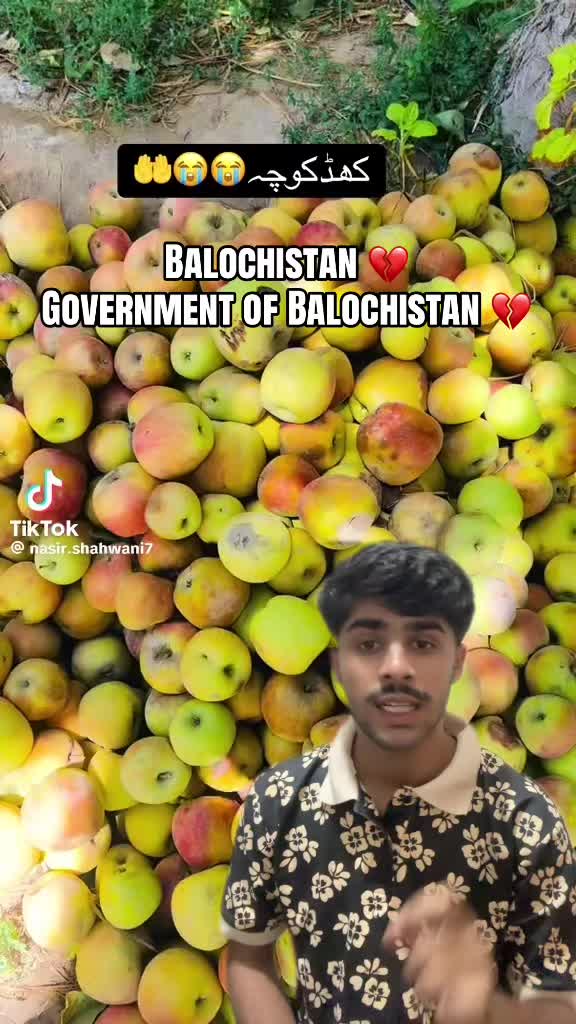 @Hamzay Hoth ๐ค