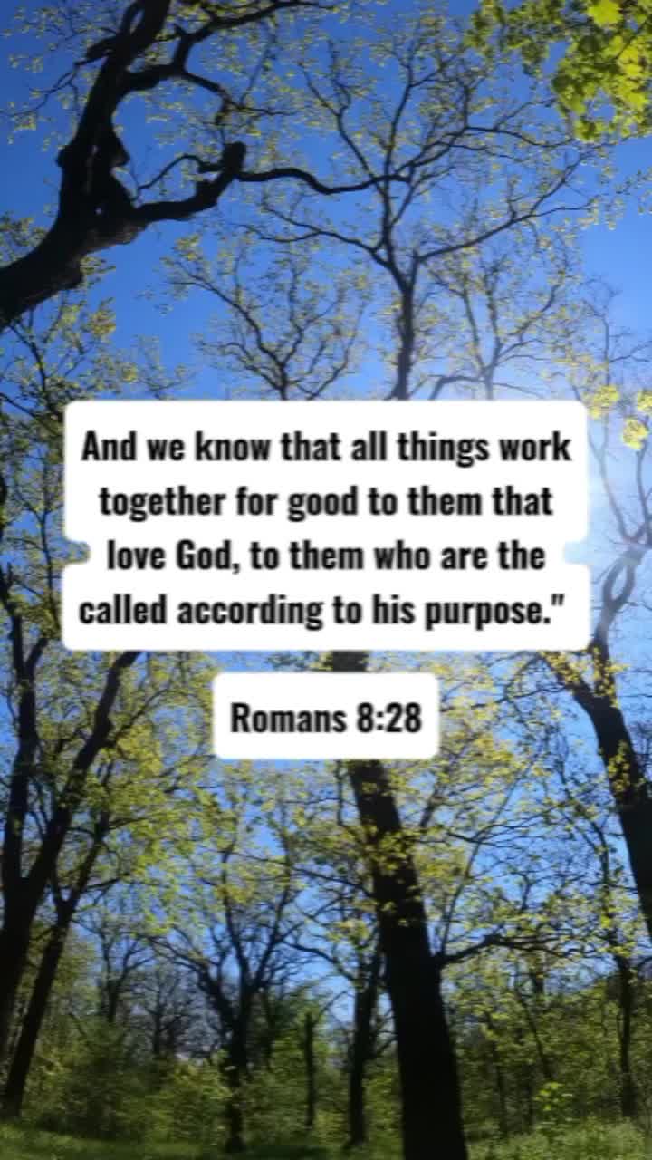 @Daily Bread Quotes