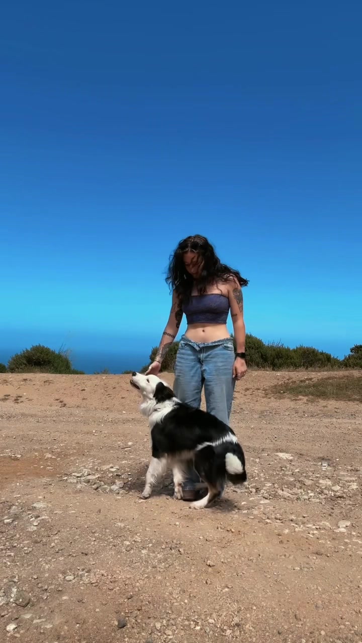 @𝙹𝚊𝚒𝚍 🦈