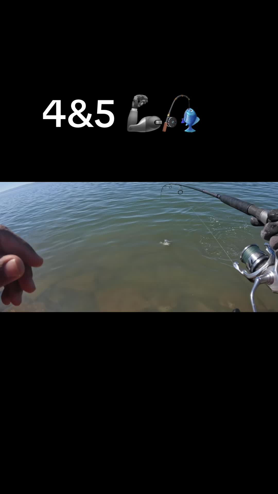@Justfishnn510