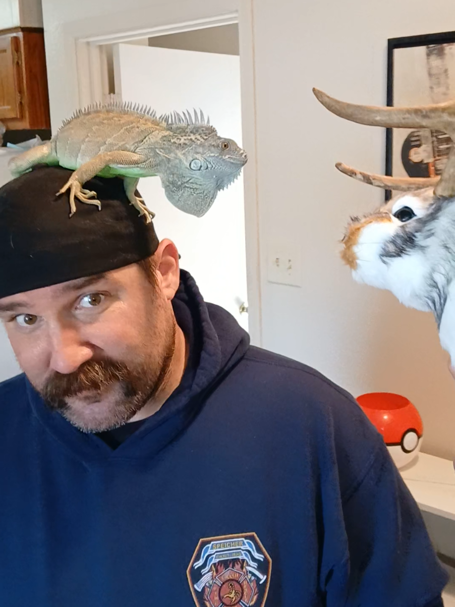 @Jimmy4 🦖