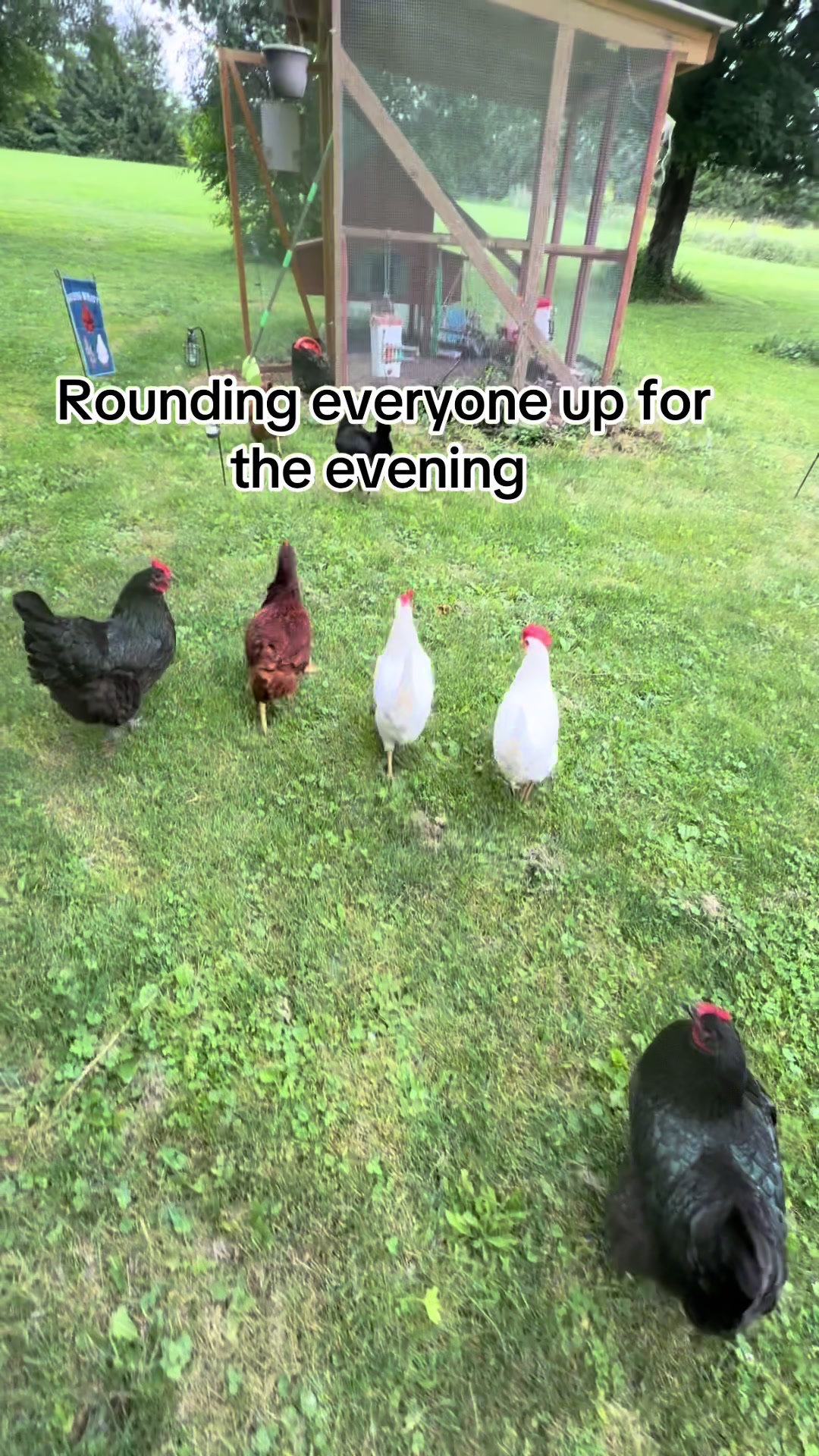 @Resistance Homesteaders