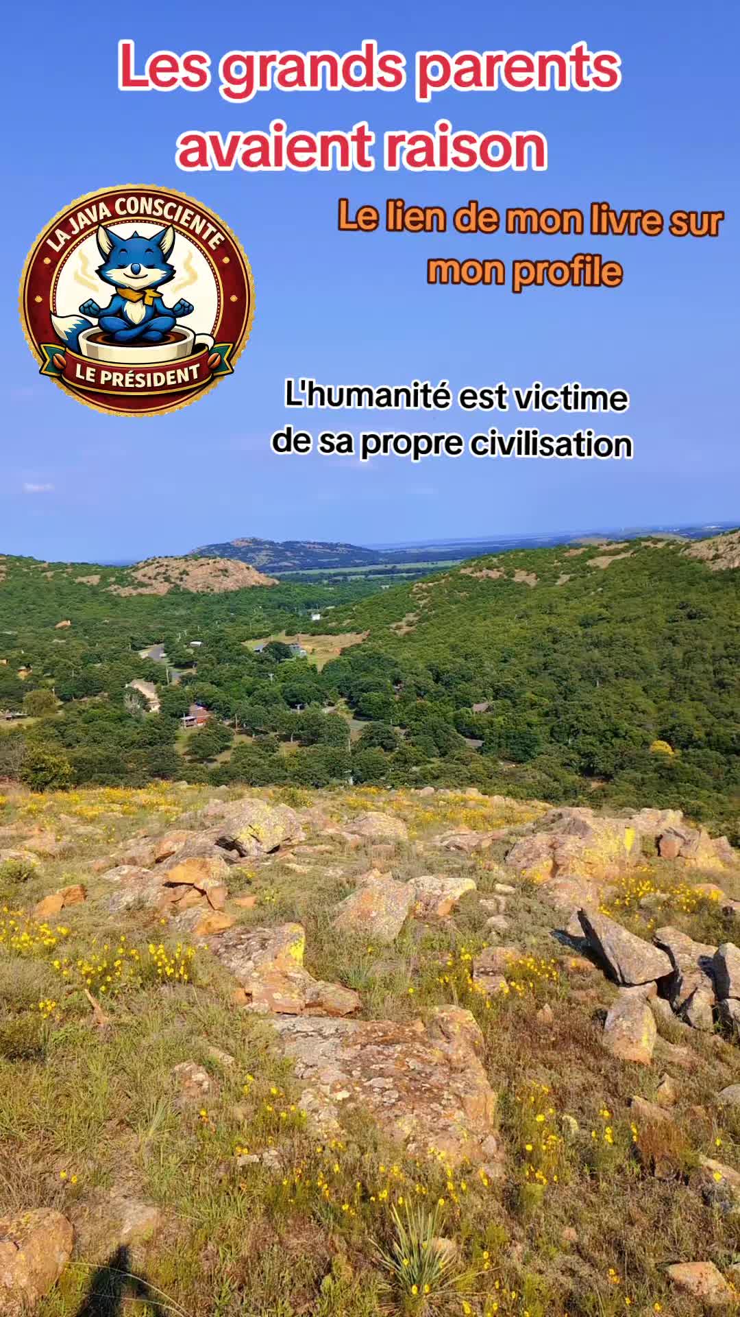 @Javaconsciente007