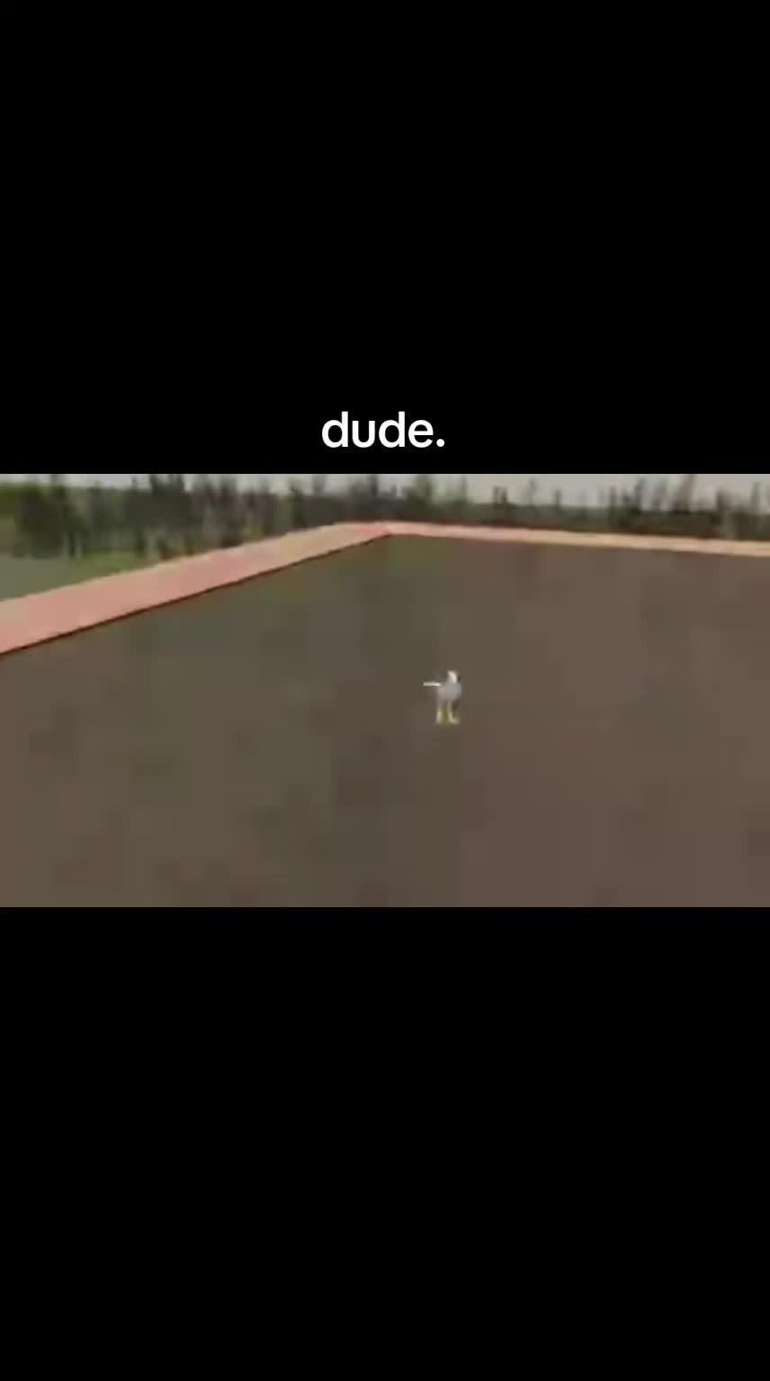 @mmaybebagel
