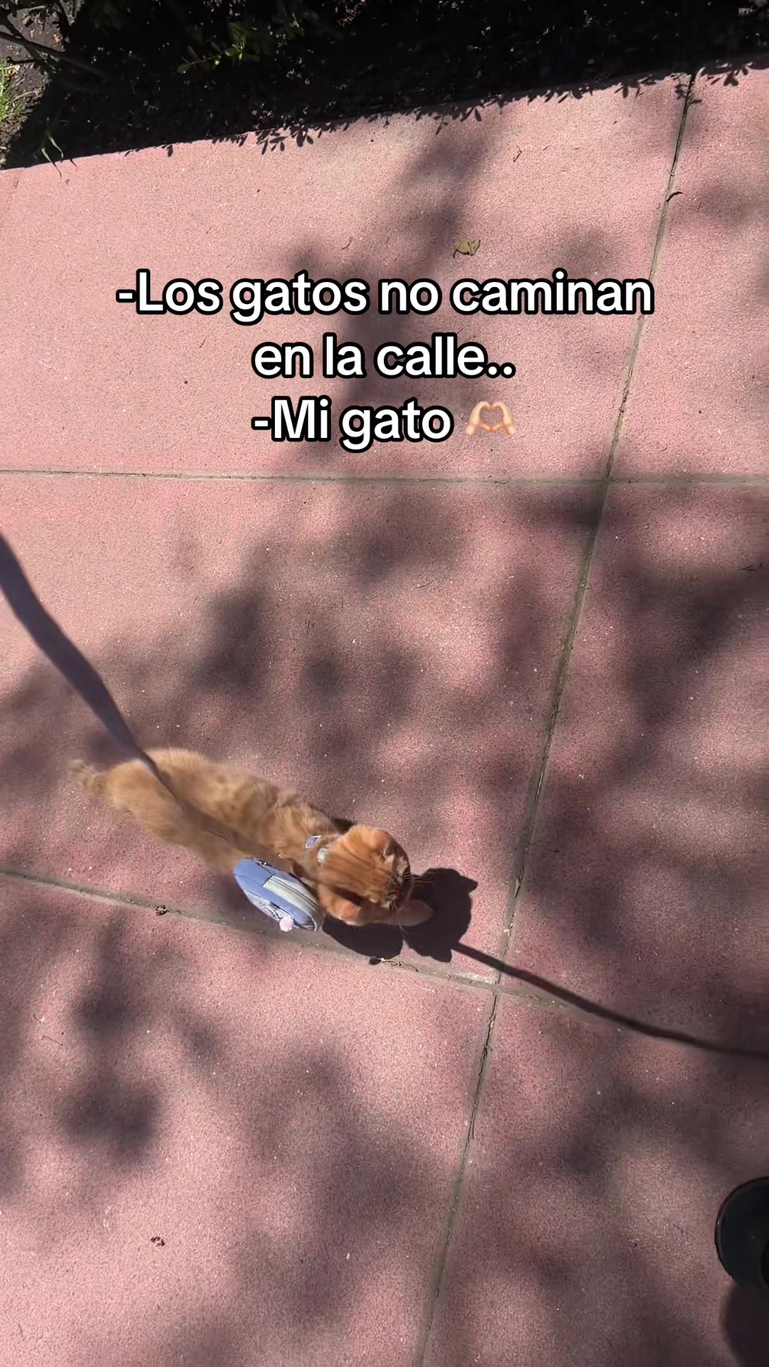 @Esmibal