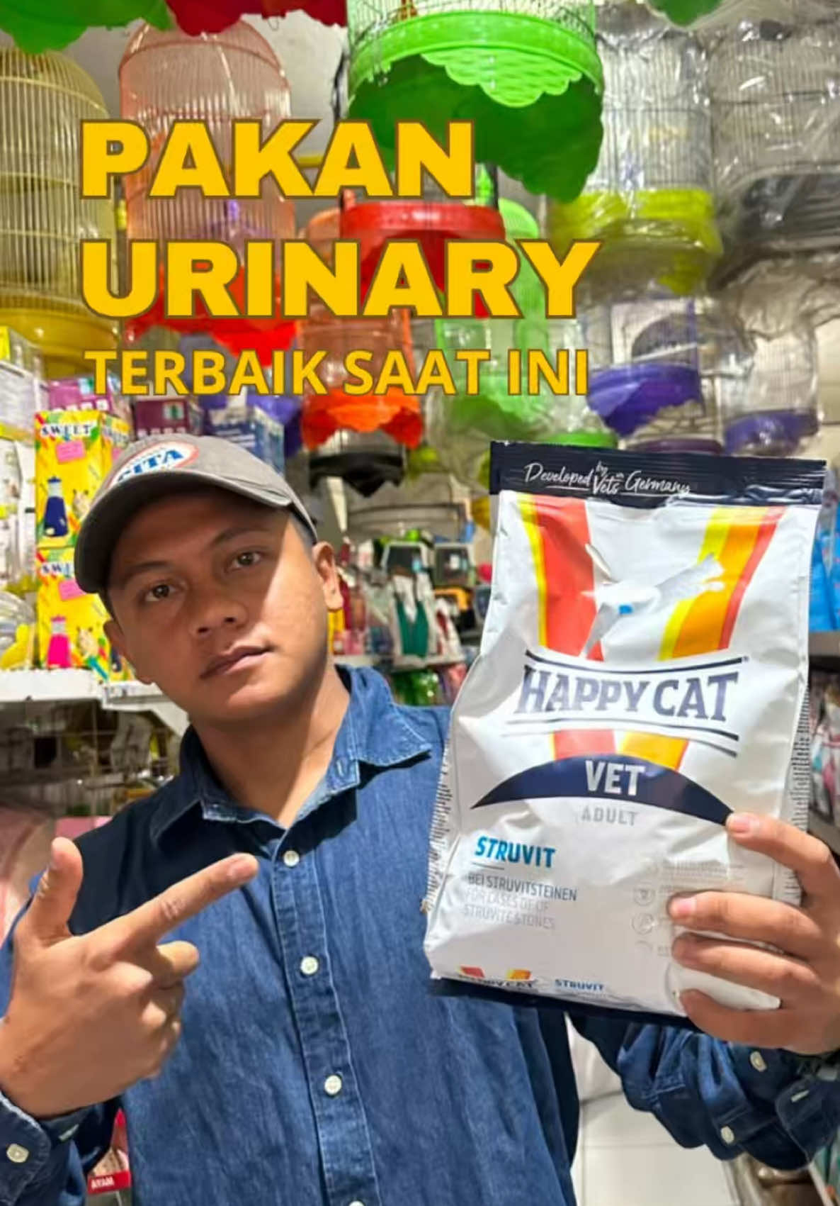 @bejo petmart