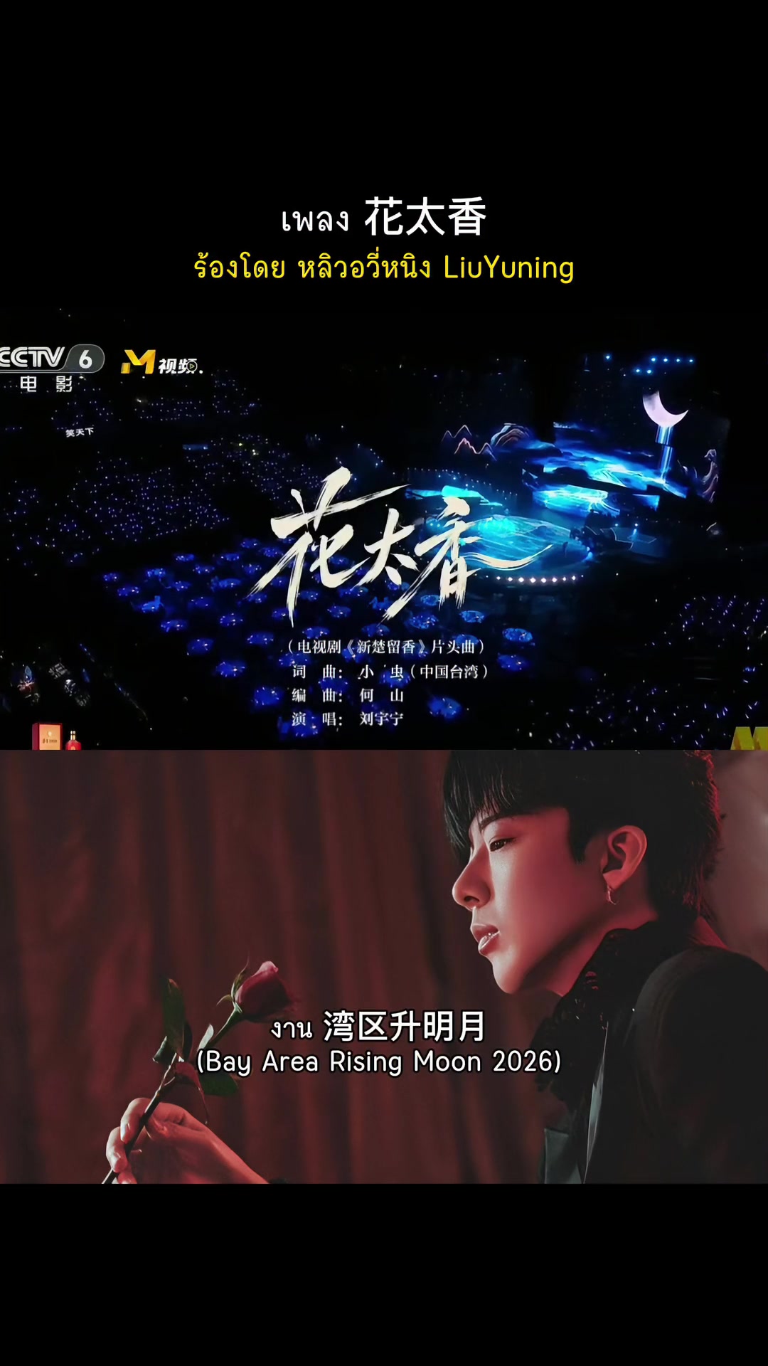 @liuyuning.fanth ♡