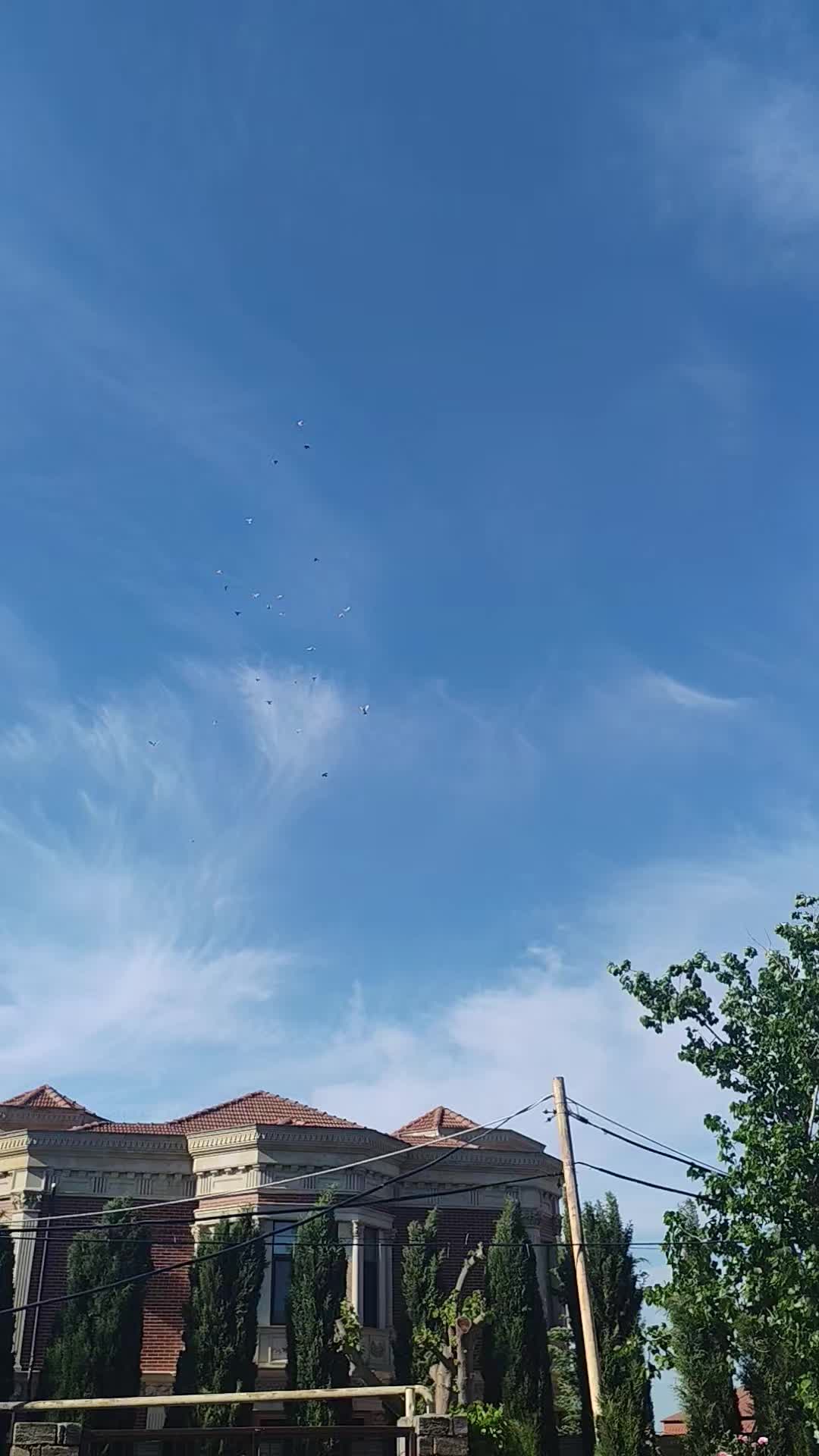 @𖤓𝐍𝐔𝐑𝐋𝐀𝐍𖤓&sup3;&sup3;