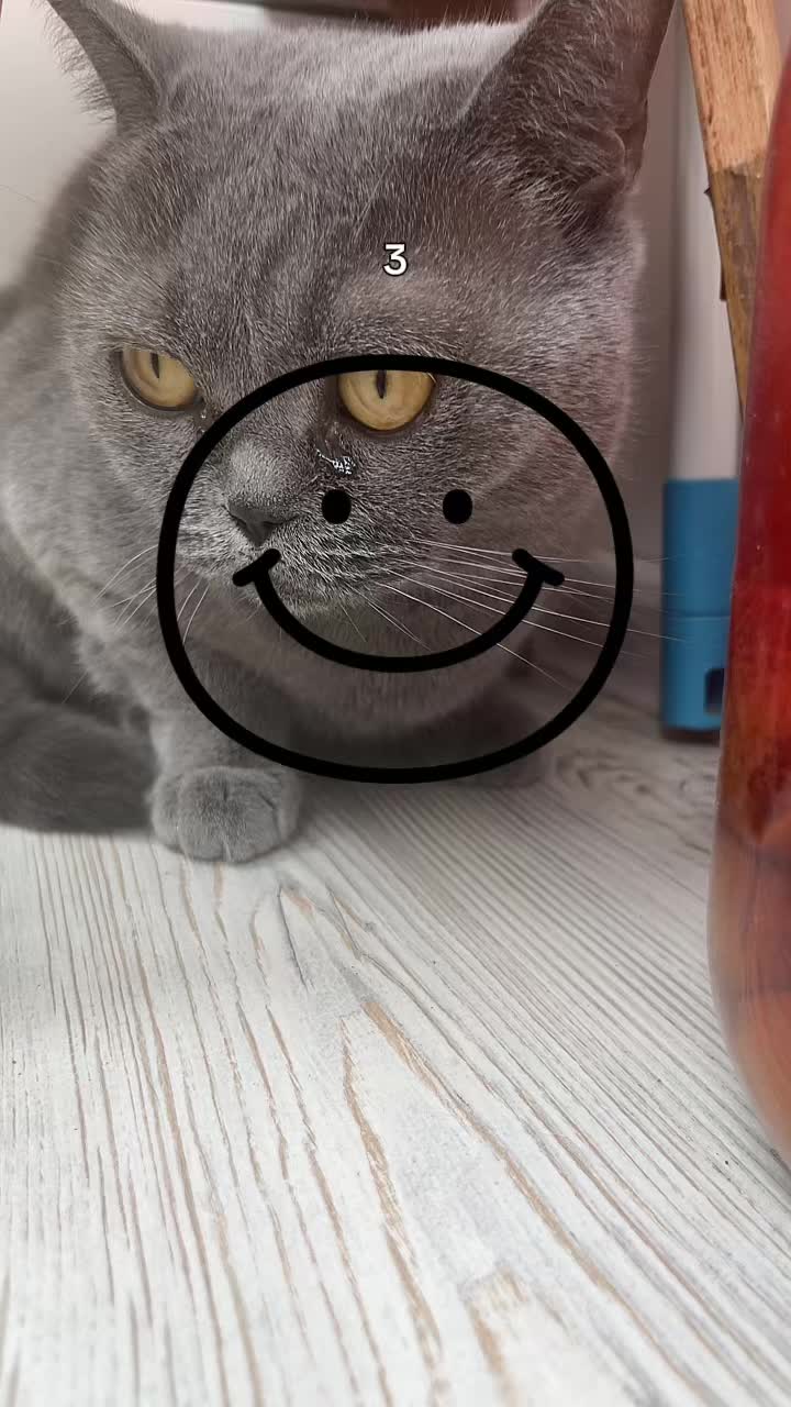 @мотя