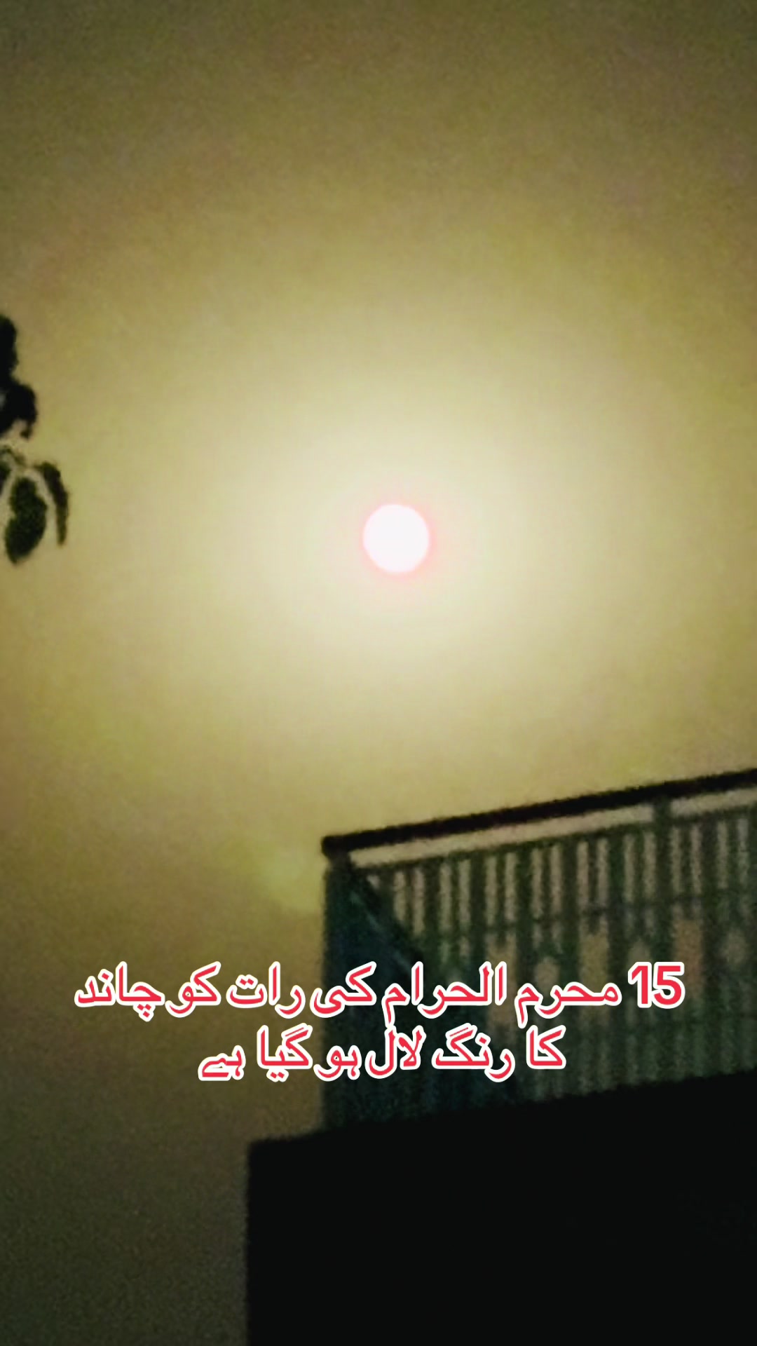 @Raza Ali Akhtar