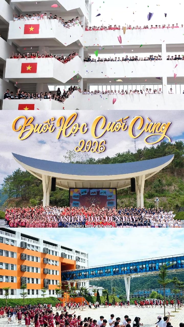 @CLC Link