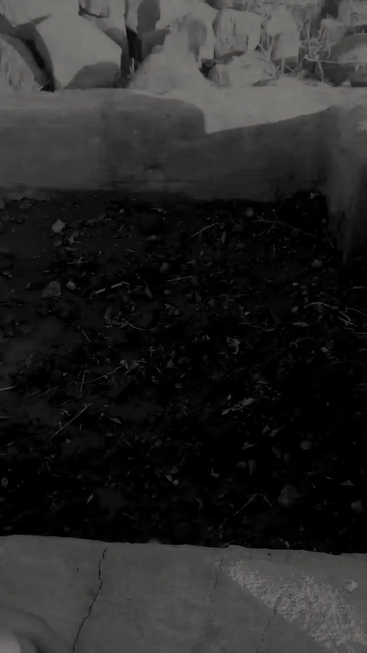 @فٱﺂقډهَـہ ﺂخـــ💔ــتـي:
