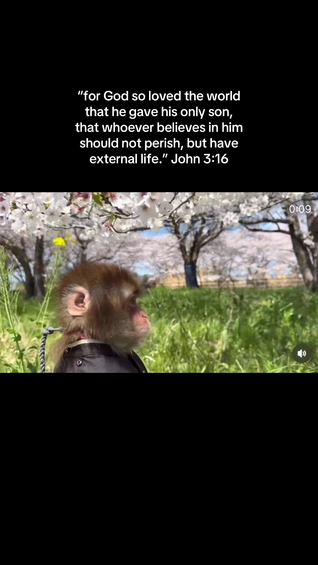 @Itsreal