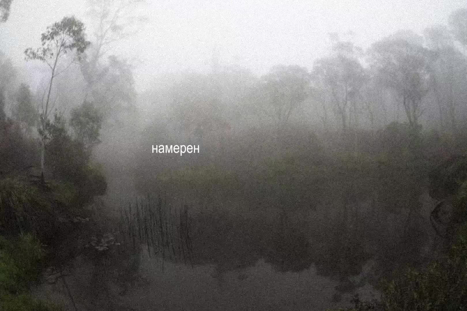 @звуки для липсингов