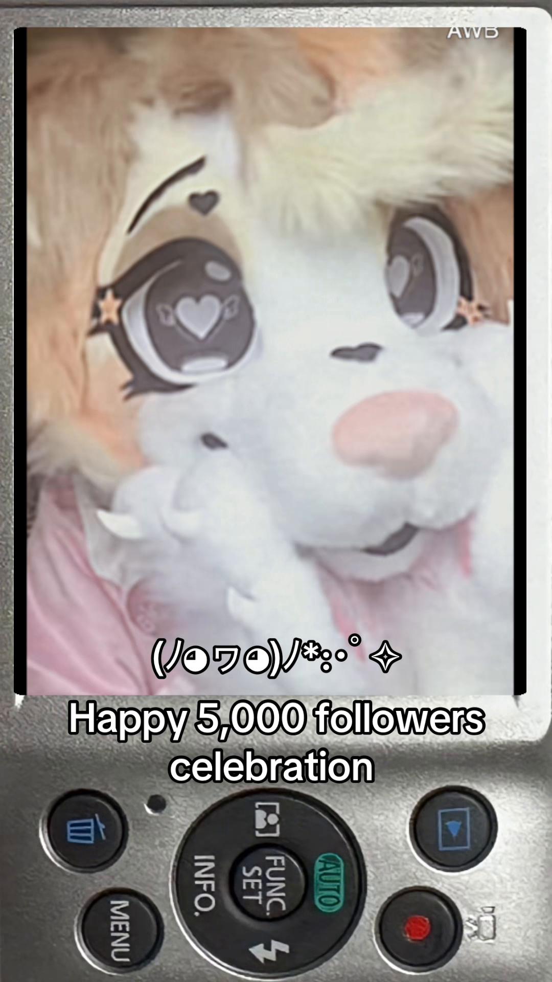 @⋆🐾°𝓚𝓪𝔂𝓫𝓪𝓮🎀⸝꙳.˖