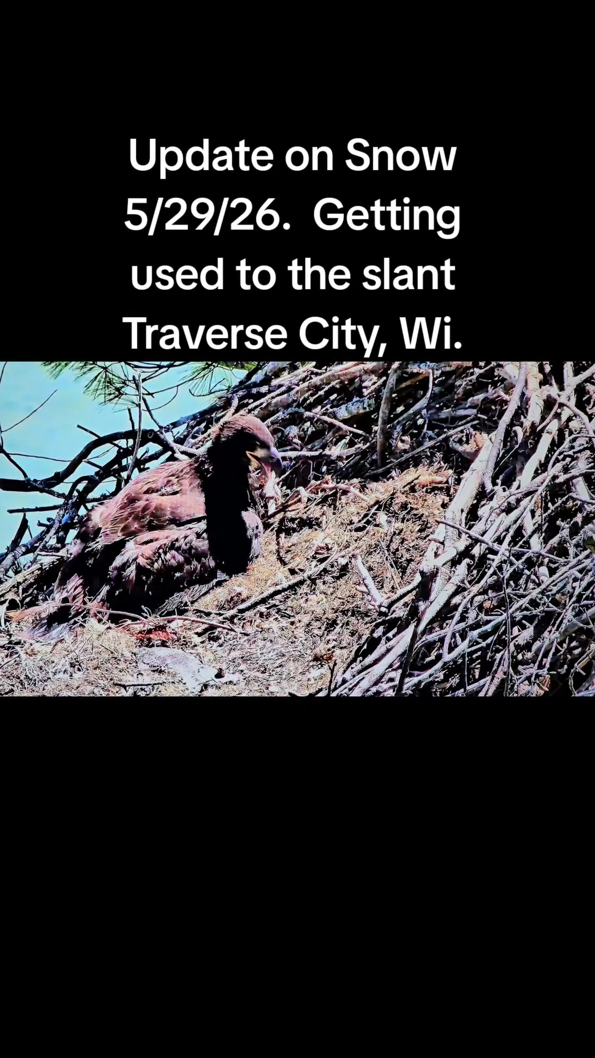 @llovelylenore🦅🦅🦅🦅