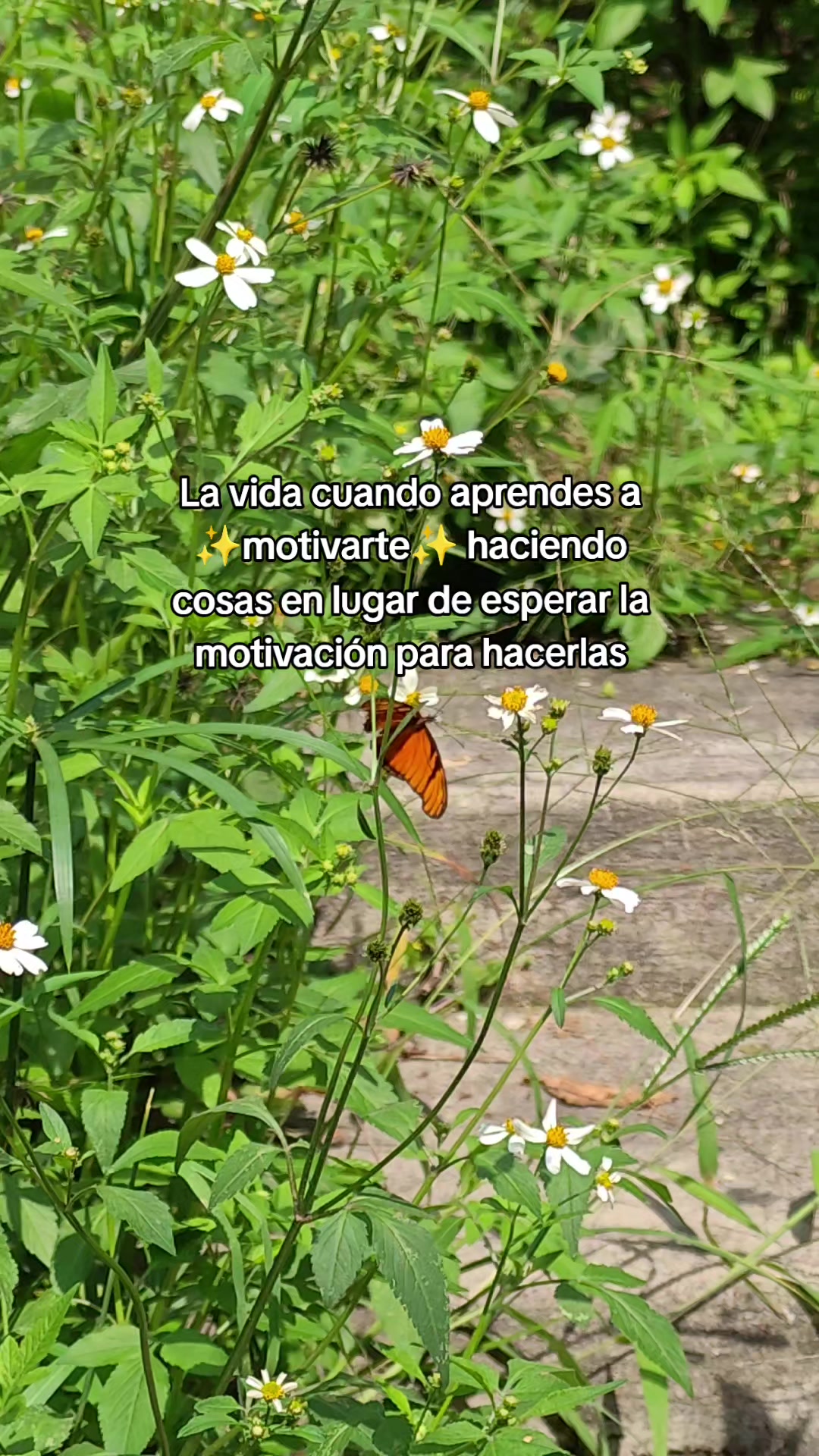 @Psicología Ciencia y Conducta