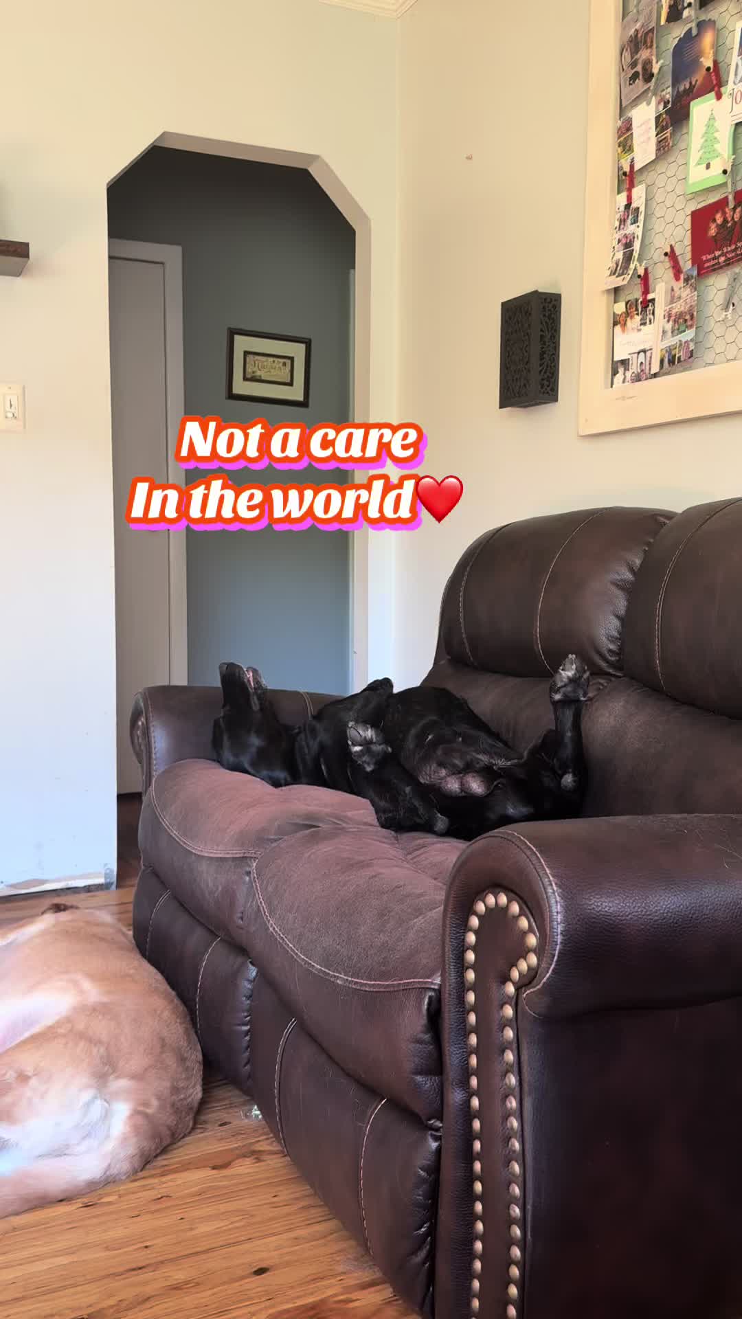 @thenewenglandnurse